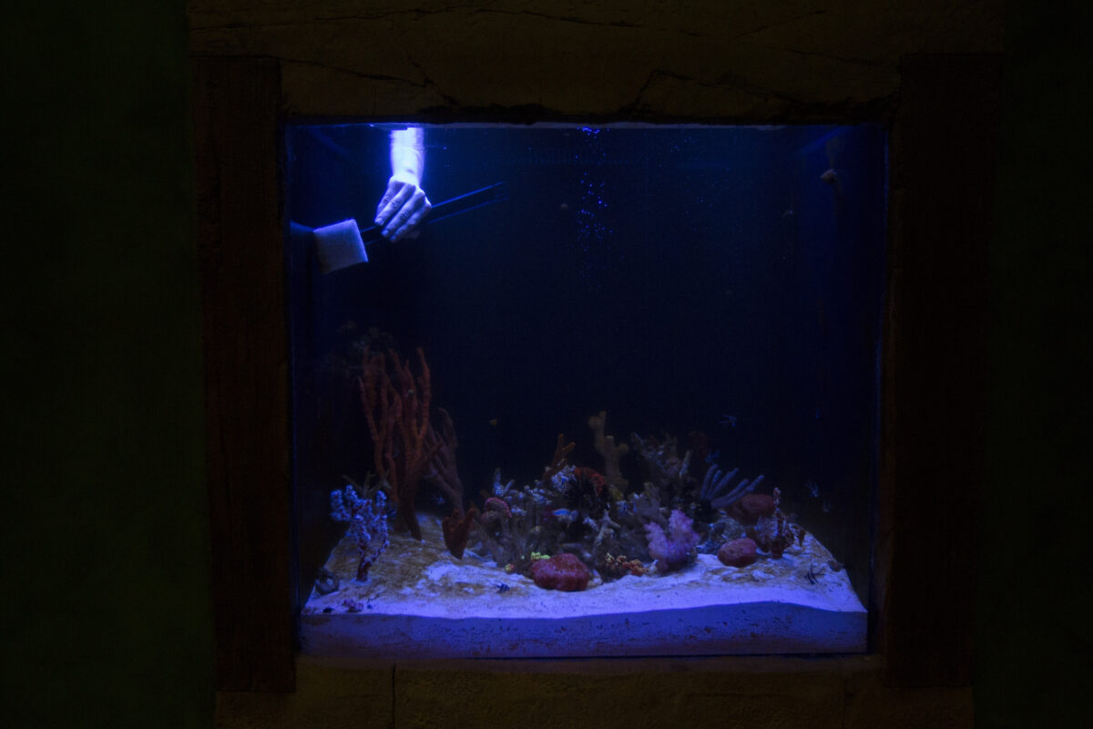 New SeaQuest Interactive Aquarium opens in Layton Hill Mall News